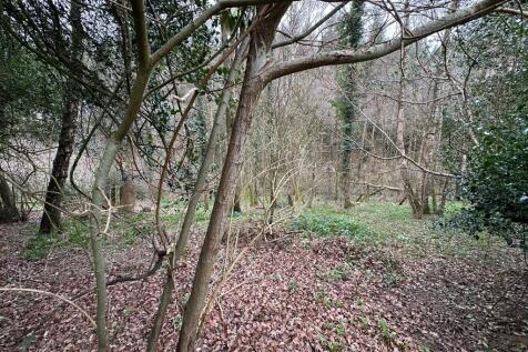 Property Image 39
