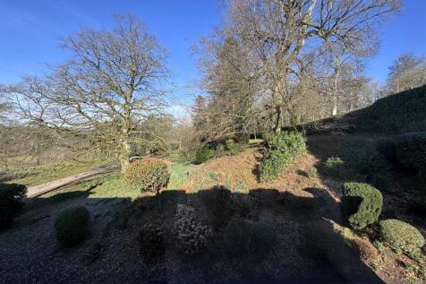 garden.JPG