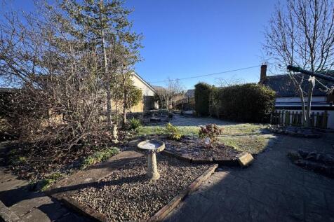 garden (2).JPG