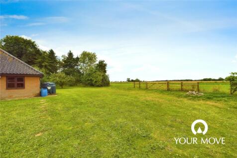 Rear Lawn