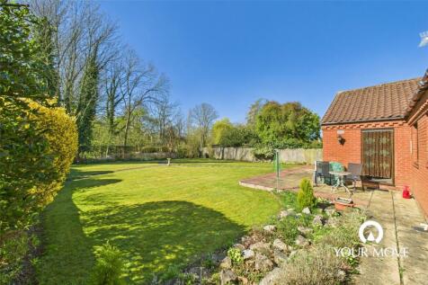 Back Garden