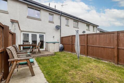 Back Garden