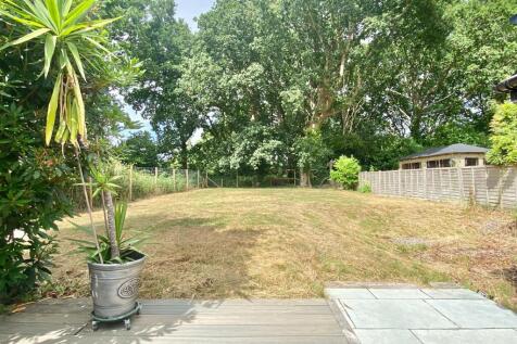 Woodland view