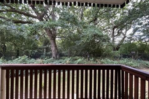 View From Balcony