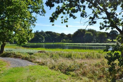DSC_0524 (2) (102...