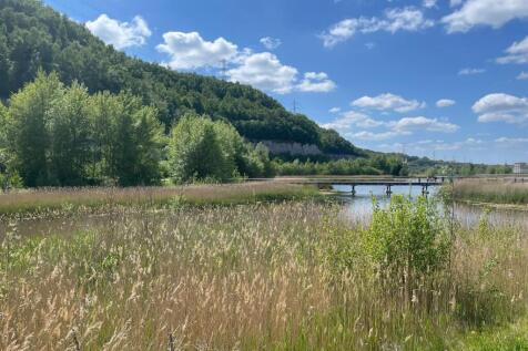 Wildlife Lake.jpg