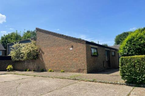 Sunny front shot.jpg