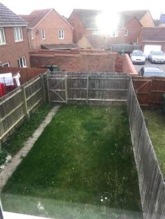 Rear garden   Wagtail.jpg