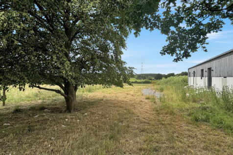 Back of Property