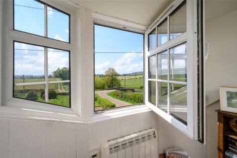 View From Window