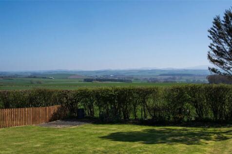 Garden  and View