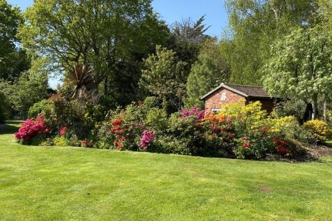 Garden 5