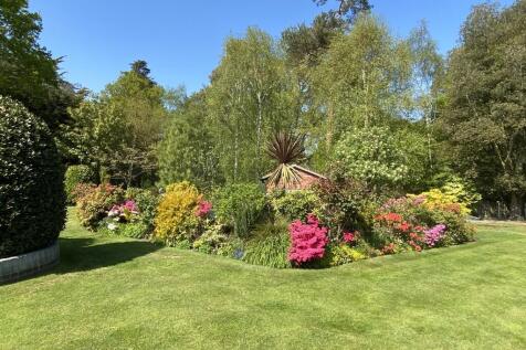 Garden shot 1