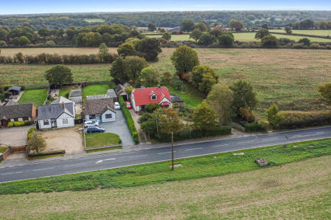 PT-FC(COL)-TheBir...