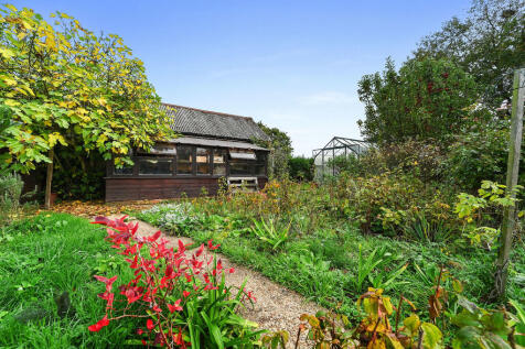 PT-FC(COL)-TheBir...