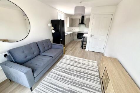 Living Area/Kitchen