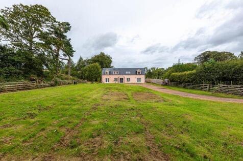 Front Garden to House