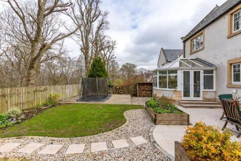 Back Garden