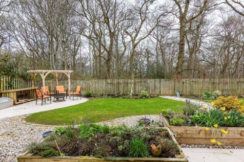 Back Garden