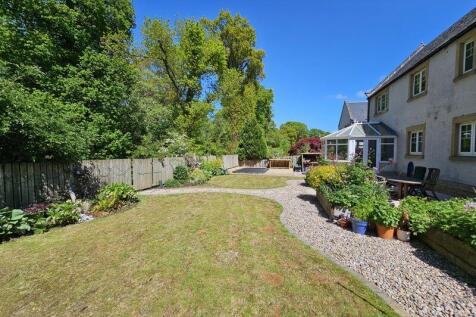 Back Garden