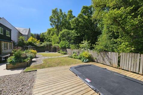 Back Garden