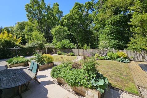 Patio &amp; Back Garden