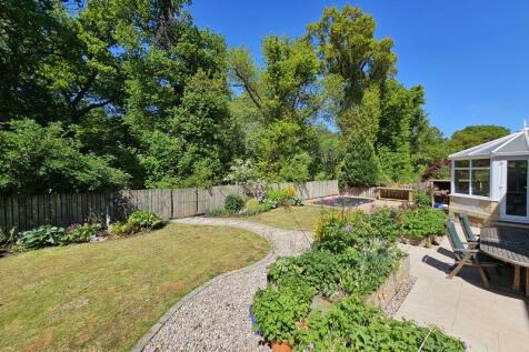 Patio &amp; Back Garden