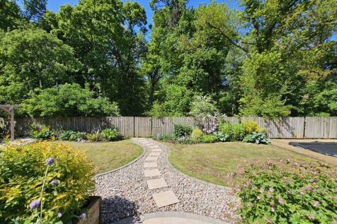 Back Garden &amp; Backdrop