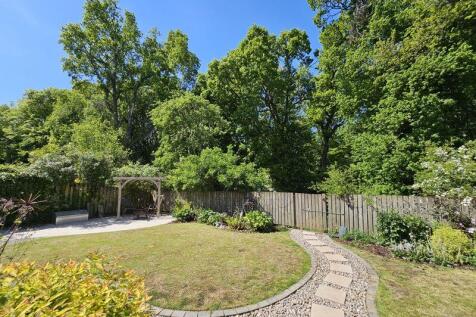 Back Garden