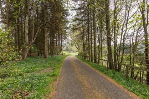 Driveway off A7