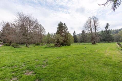 View to Paddock
