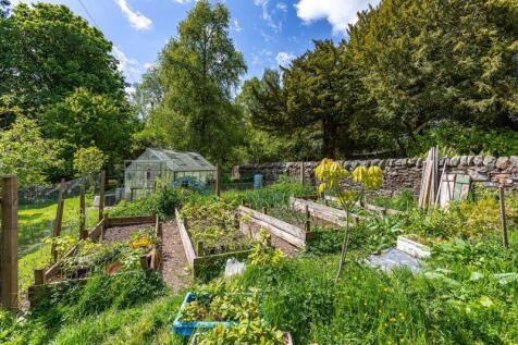 Vegetable Garden