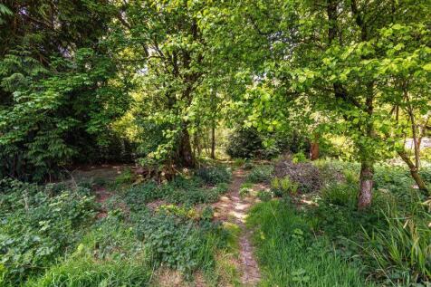 Woodland Garden Ground