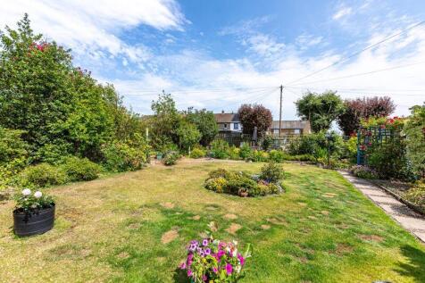 Back Garden