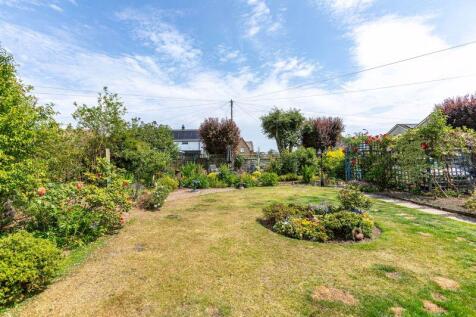 Back Garden