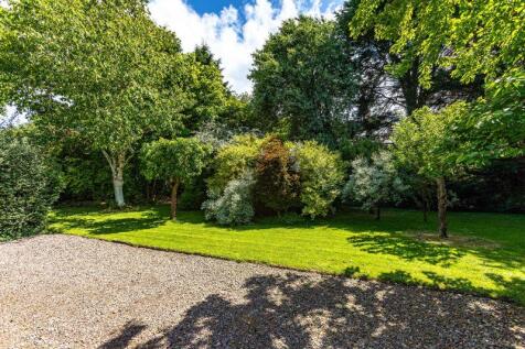 Bottom Garden