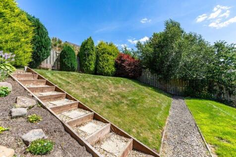 Garden &amp; Lawn