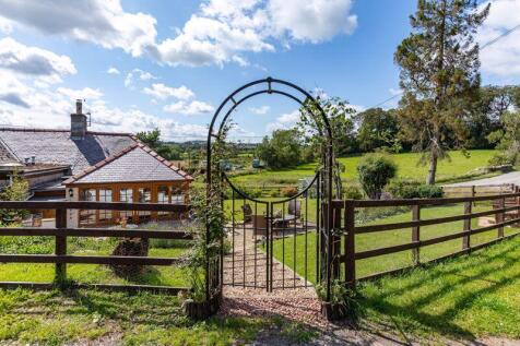 Top Gate