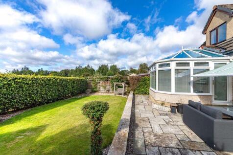 Garden and Patio
