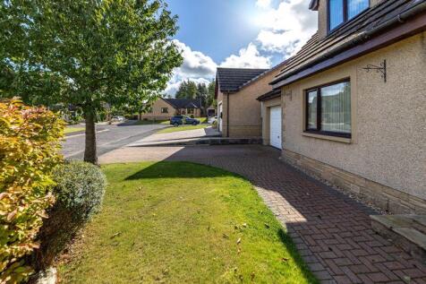 Front garden and drive