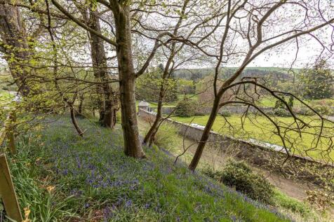 Bluebell Banking