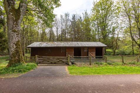 Double Loose Box &amp; Tack/Feed Store