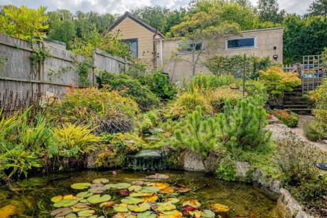 Pond garden.jpg