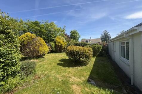 Rear garden 2