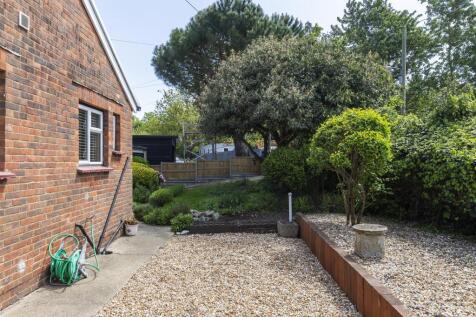 Back Garden