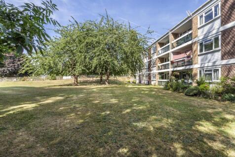 Communal Garden