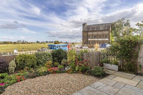 Back Garden