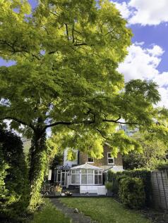 Garden pic 1.jpg