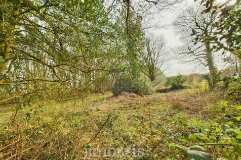 CAM03686G0-PR0004-STILL065.jpg