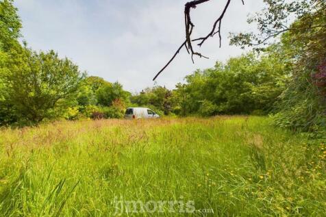 CAM03686G0-PR0095-STILL043.jpg